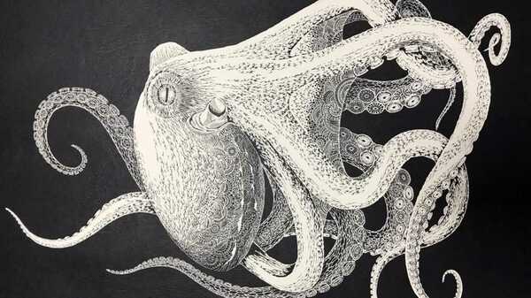 紙一枚からの 神業 リアルすぎる タコ の切り絵ができるまでを聞いた 紙一枚からの 神業 リアルすぎる タコ の切り絵ができるまでを聞いた