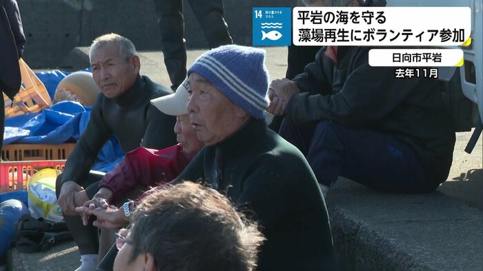 全員が70歳以上。地元漁師6人でウニの駆除を行う