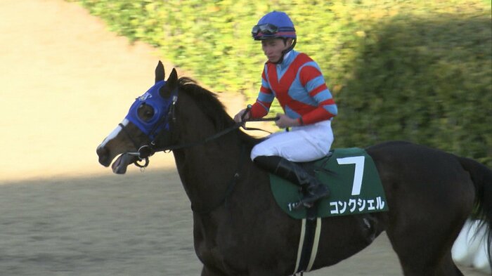 2連勝で中山牝馬Sを制したコンクシェル