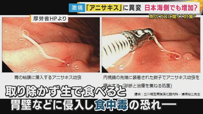 胃の壁などに侵入し食中毒になるおそれ