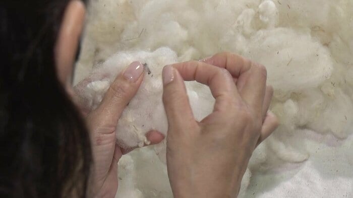下処理のゴミ取り作業はとても根気がいる作業