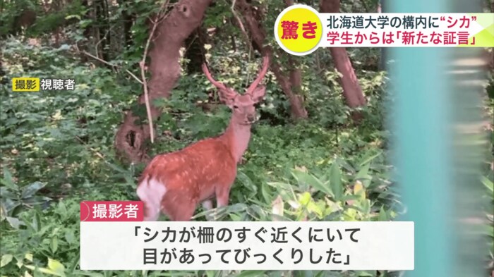 提供:視聴者