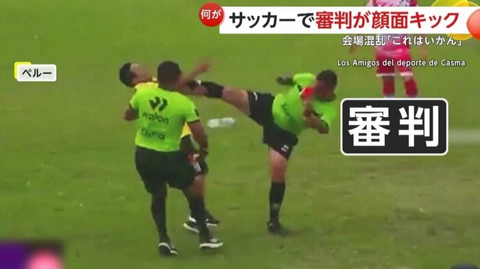 顔面にキックを食らわせた審判