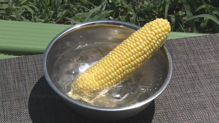 冷やして食べるのもおすすめ