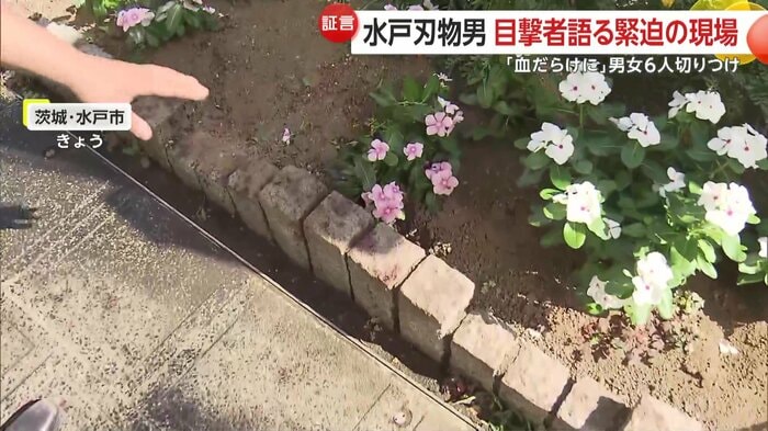 犯行現場の花壇には一夜明けた今も血の痕が多く残っていた