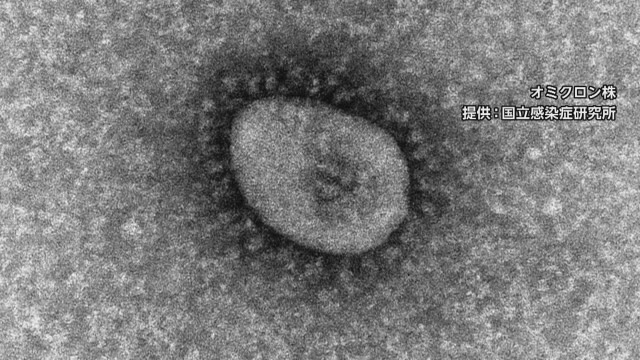 都内では、オミクロン株「BA.2」疑いが全体の50%を超えたという。