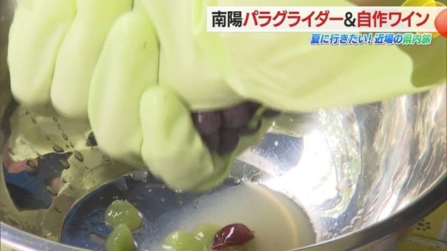 収穫したブドウを皮ごと搾り仕込む
