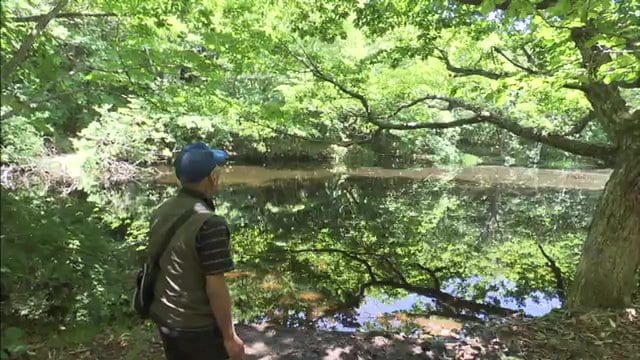 詩人・草野心平も愛した川内村の豊かな自然