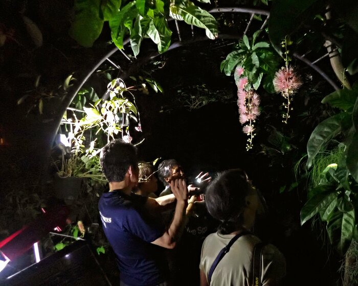 夜の植物観察ガイド（富山県中央植物園 提供）