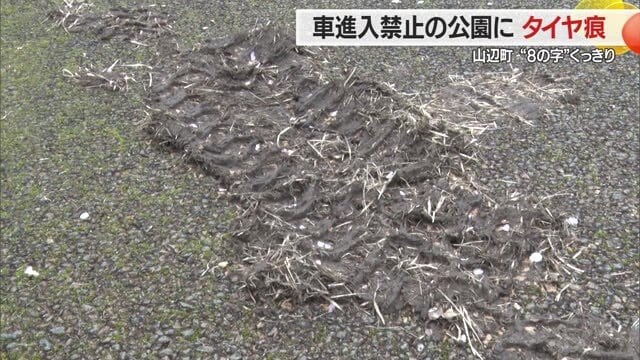 タイヤ痕がついた泥も残され、そのタイヤ幅を見ると大型の車とみられる