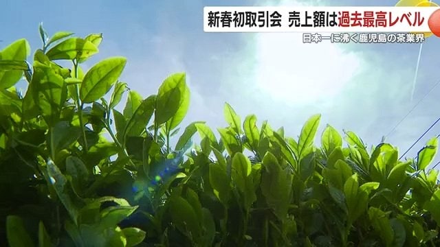 2026年は鹿児島の茶業界にとって重要な一年となる