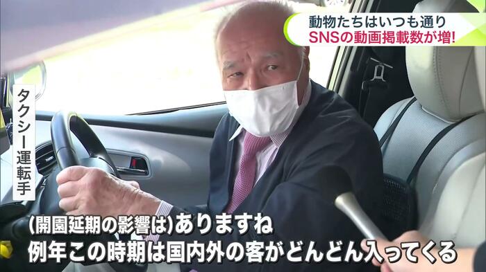 旭山動物園の開園延期はタクシーにも影響