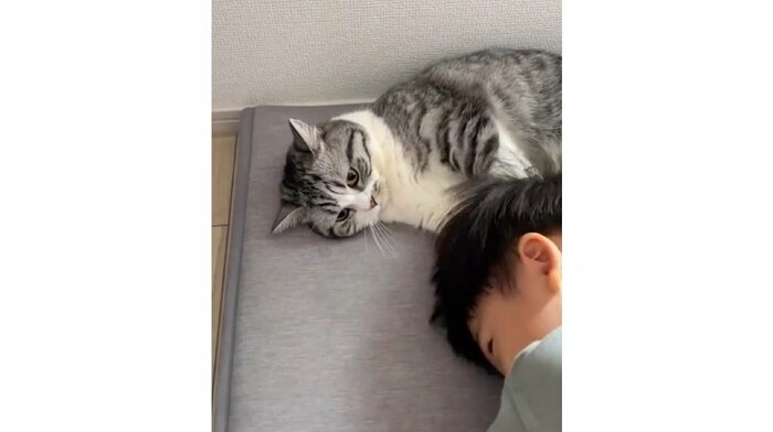 ムチくんが頭をスリスリしても、ふにちゃんが逃げる様子はない