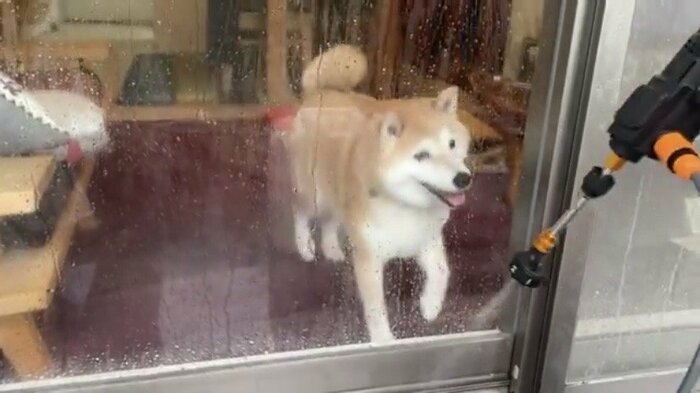 興味津々