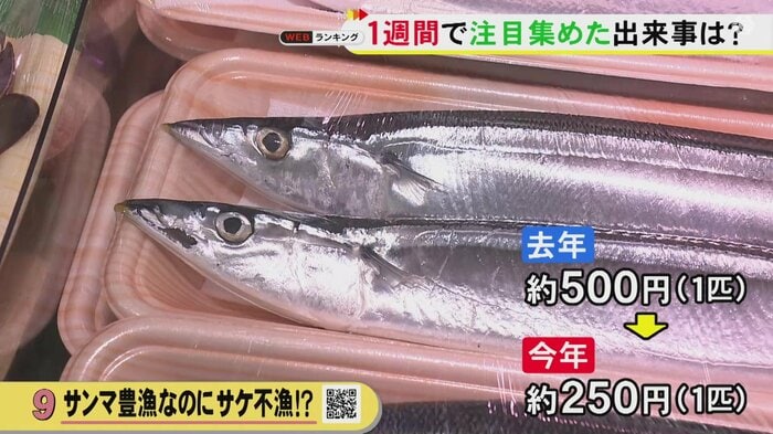 ニュースONE