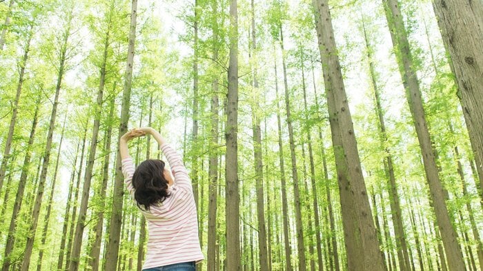 自然でストレスを緩和しようとする人は増えているという(画像はイメージ)