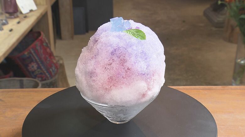 見た目と味で花を表現…“お花屋さんのかき氷” 巨峰シロップの「あじさい」は色が変わっていく仕掛けも｜FNNプライムオンライン