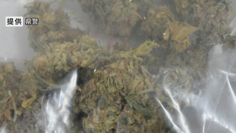 女子高校生らに大麻を譲渡か　23歳の男を追送検　密売人か…自宅から乾燥大麻や大麻リキッドなど押収　｜FNNプライムオンライン