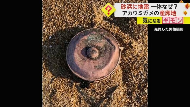 【旧日本軍・九三式戦車地雷】アカウミガメ産卵地で…元自衛隊員・男性が偶然発見「なんでこんな場所にあるんだろう」　福岡｜FNNプライムオンライン