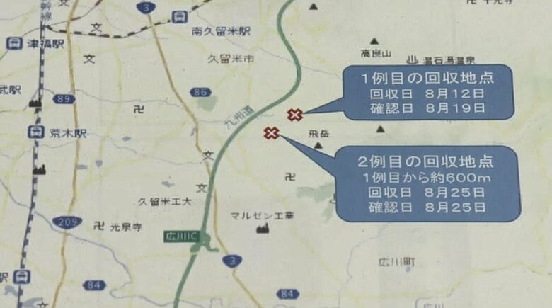 福岡県で2例目の豚熱感染を確認　また久留米市で死んでいた野生イノシシから　まん延防止のため80地点にワクチン散布を決定｜FNNプライムオンライン