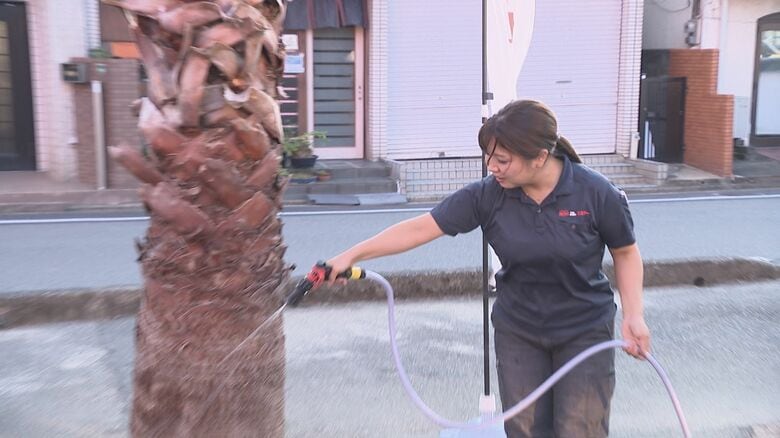 ベランダ掃除や店舗開店準備も… 猛暑が過ぎ去り依頼急増！ 悩み解決のプロ「便利屋」に密着｜FNNプライムオンライン