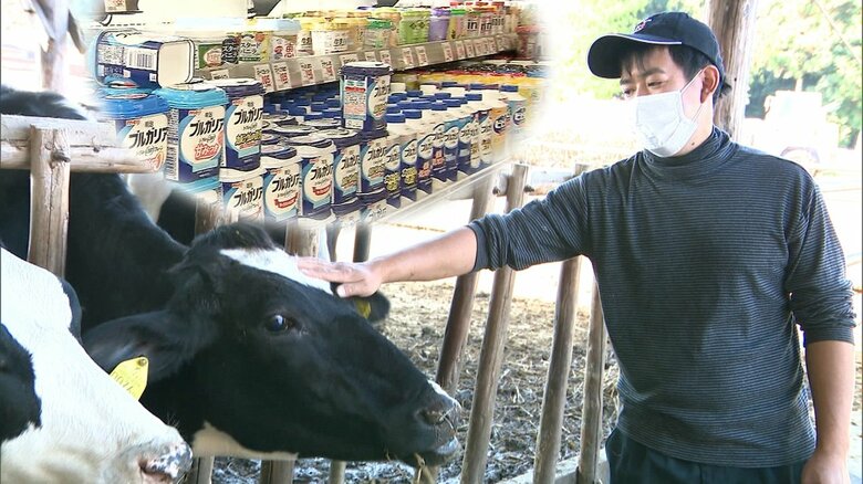 「牛乳飲んで助けて」　乳製品値上げでも酪農家は苦境　円安やウクライナ情勢で輸入エサ代急騰　【静岡発】｜FNNプライムオンライン