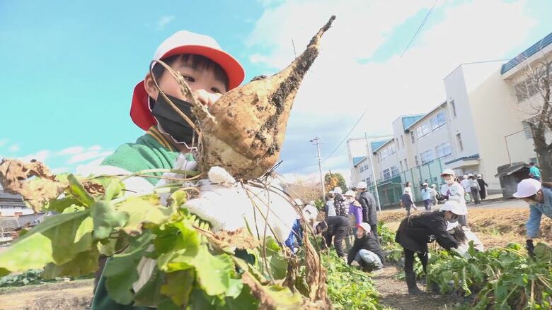 「あまい」子どもたちが『テンサイ糖』づくり　長野県の特産品に！？　種から育て砂糖に加工　安曇野市｜FNNプライムオンライン