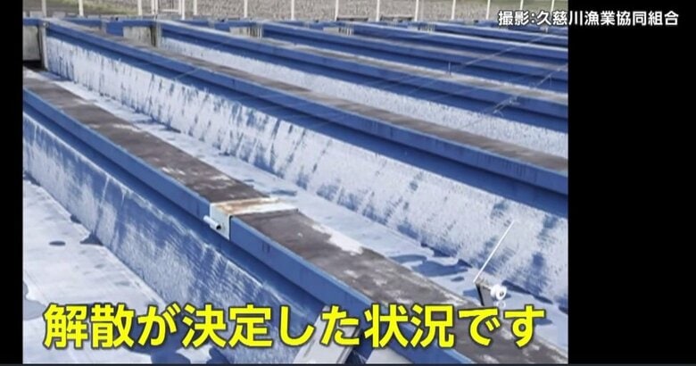 サケが歴史的不漁「このまま続けても借金増える」ふ化場の水槽が空っぽで解散の漁協も…デパートの北海道物産展にも値上げの波｜FNNプライムオンライン