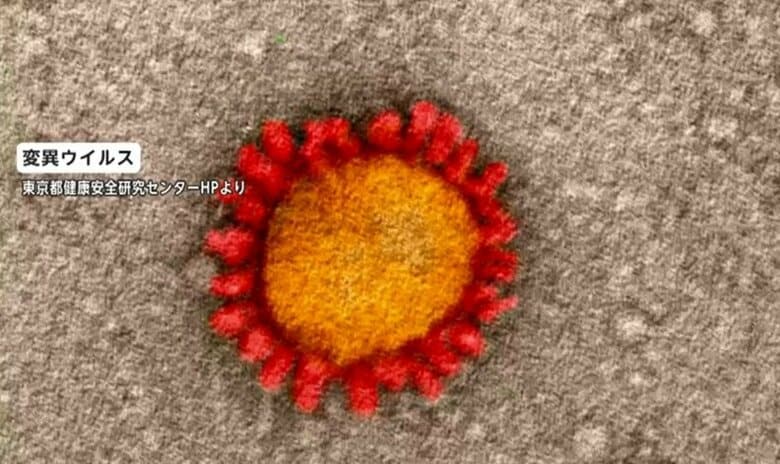 新型コロナ変異ウイルスが拡大中…国内にも増えるイギリス型は「死亡リスク2倍」の研究結果も｜FNNプライムオンライン