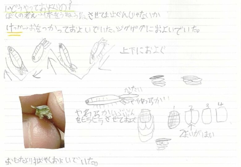 どうやっておよぐの? 写真だけでなくイラストでも説明