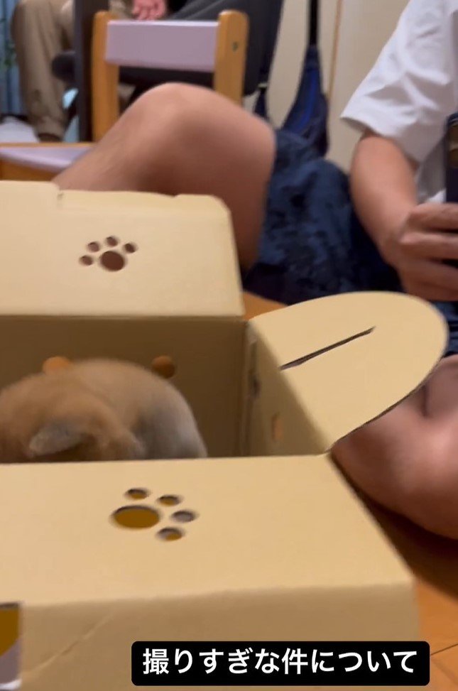 隠れてしまったと思ったら…