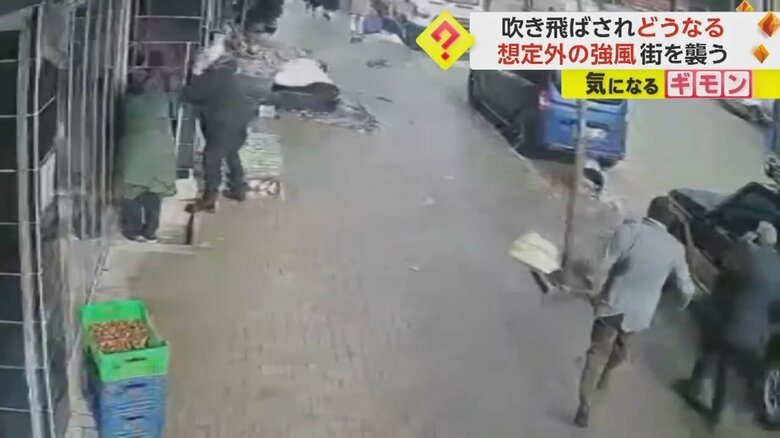 強風にあおられながら、街路樹にしがみつく瞬間③