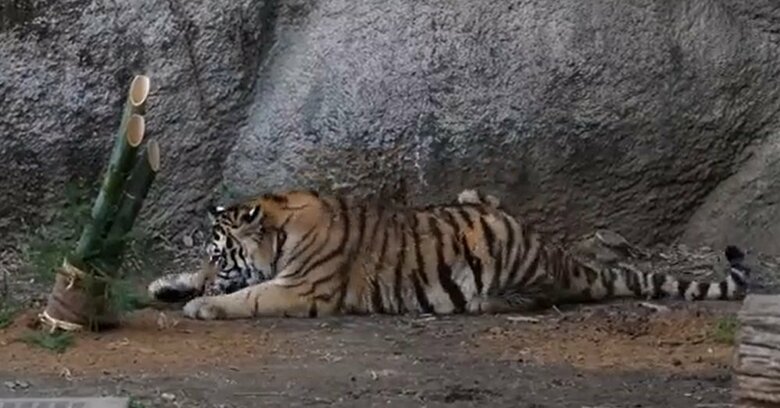 にじり寄って…