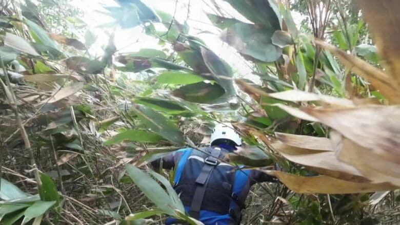 やぶをかき分け、遭難者のもとへ