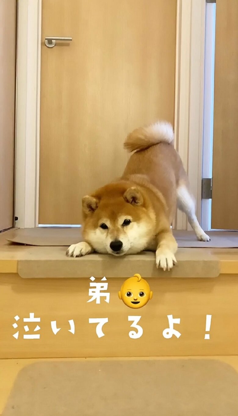 しゃちほこのようなポーズで「泣いてるよ！」と合図