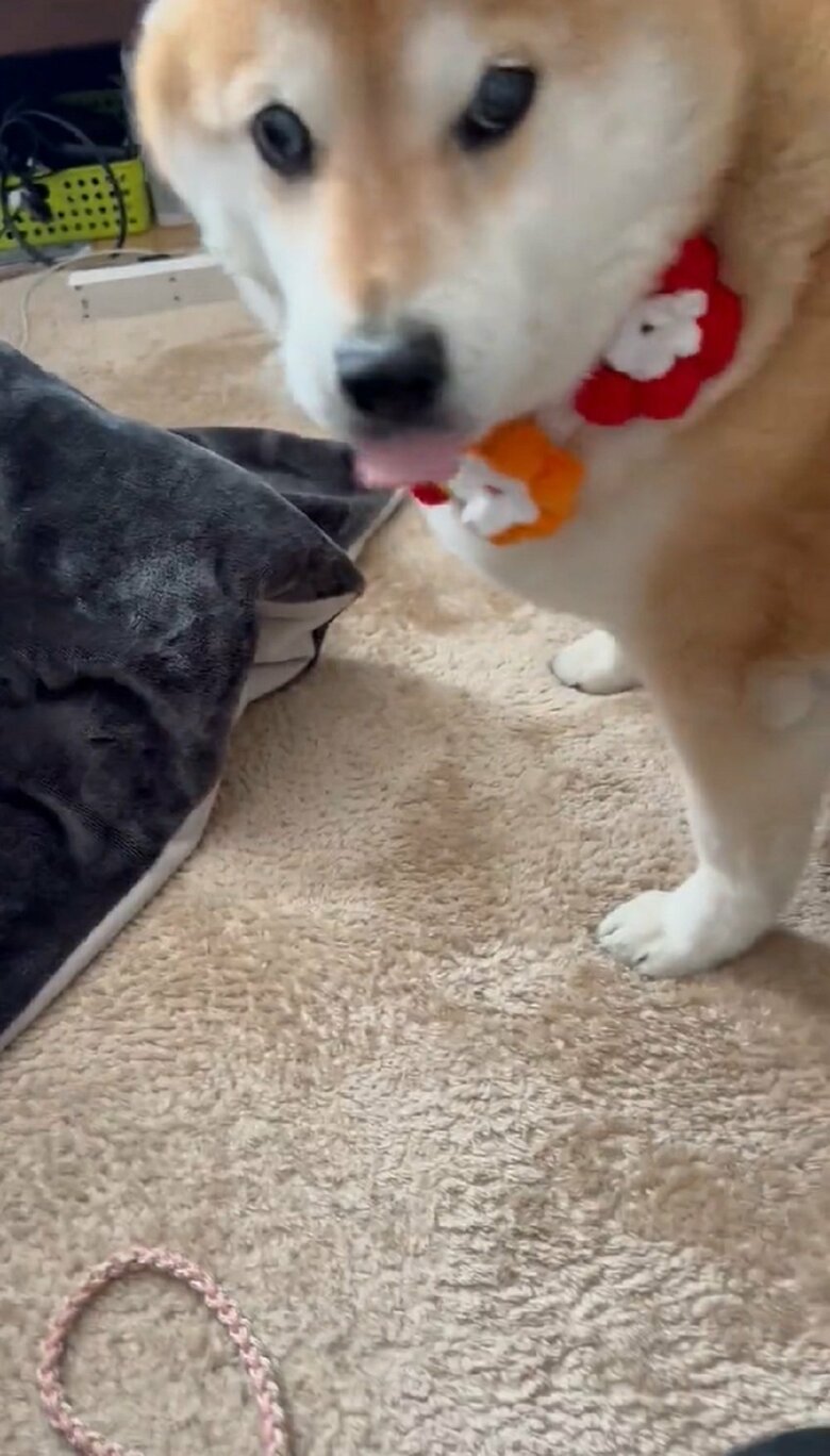 「分かってるよね？」