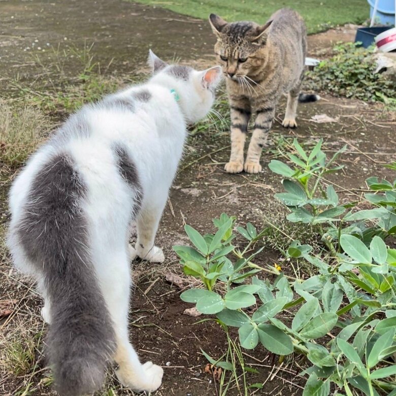 緊張感が走る？