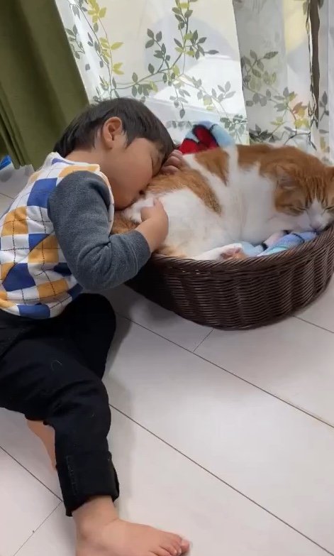 提供：Hassakuさん