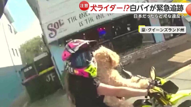 警察官が犬を乗せたバイクの運転手に注意をする様子①