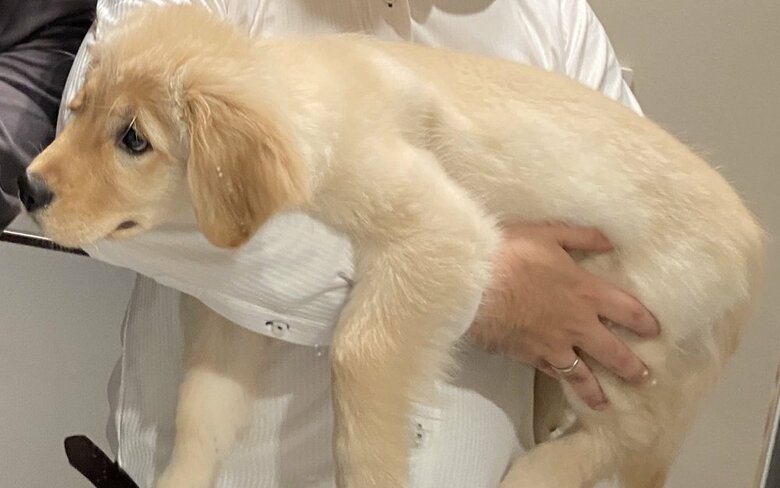 お風呂に入れられると思っているチロルちゃん