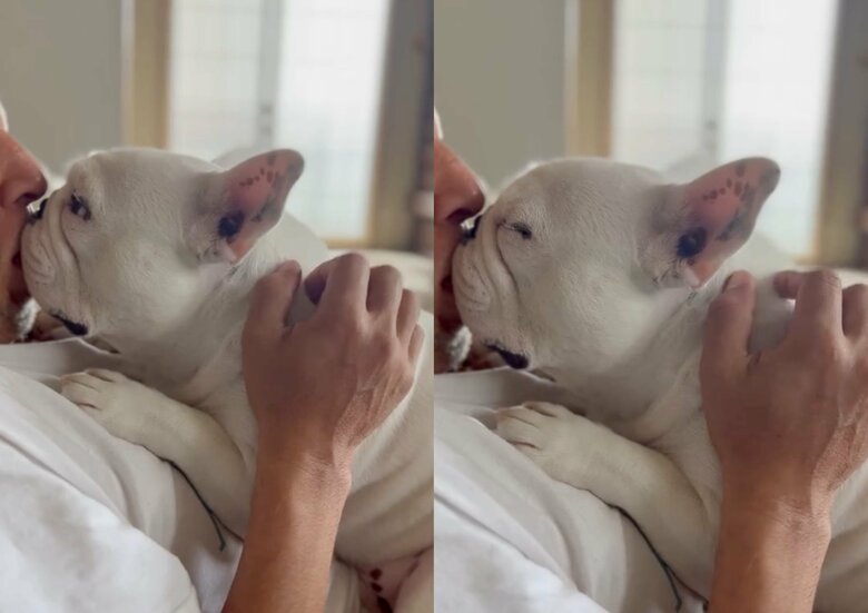 よくあるという姿（提供：こぶしさん）