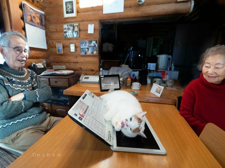 パソコン画面でくつろぐ（提供：MARCOさん）