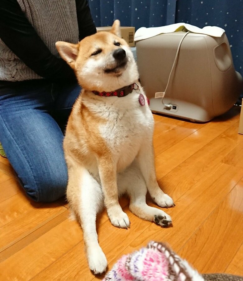 背中をかいてもらってヘヴン状態