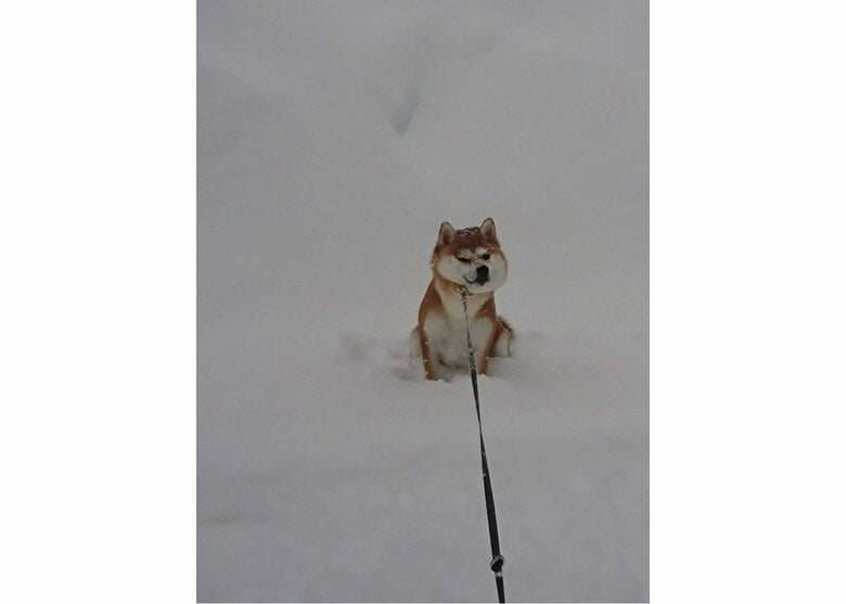 提供：あおとはなさん