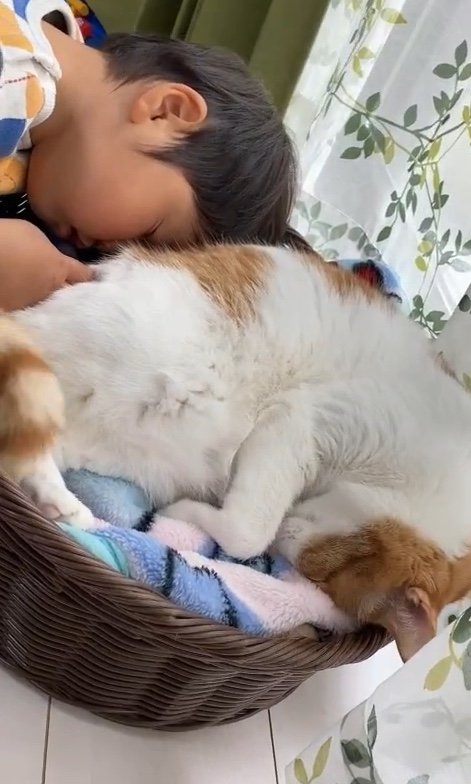 提供：Hassakuさん