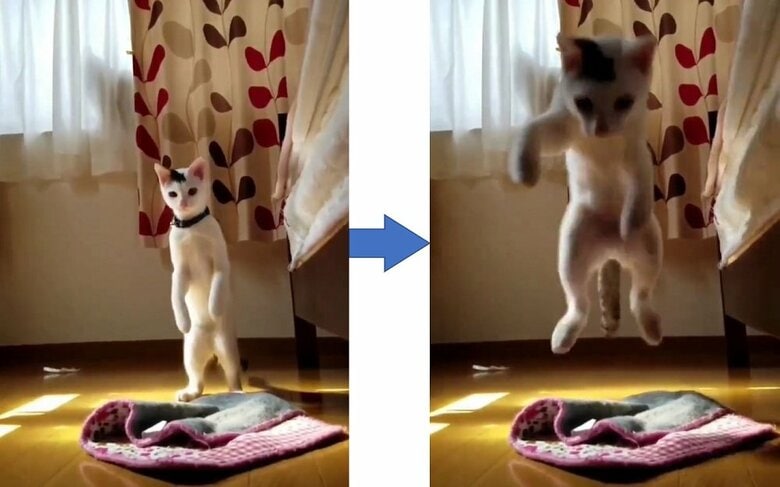 立ち上がって、垂直跳びのようなジャンプ！