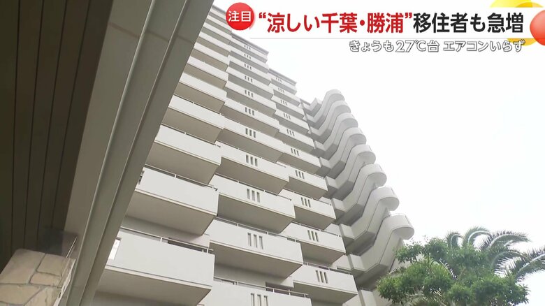 勝浦の海を一望できる田井さんのマンション