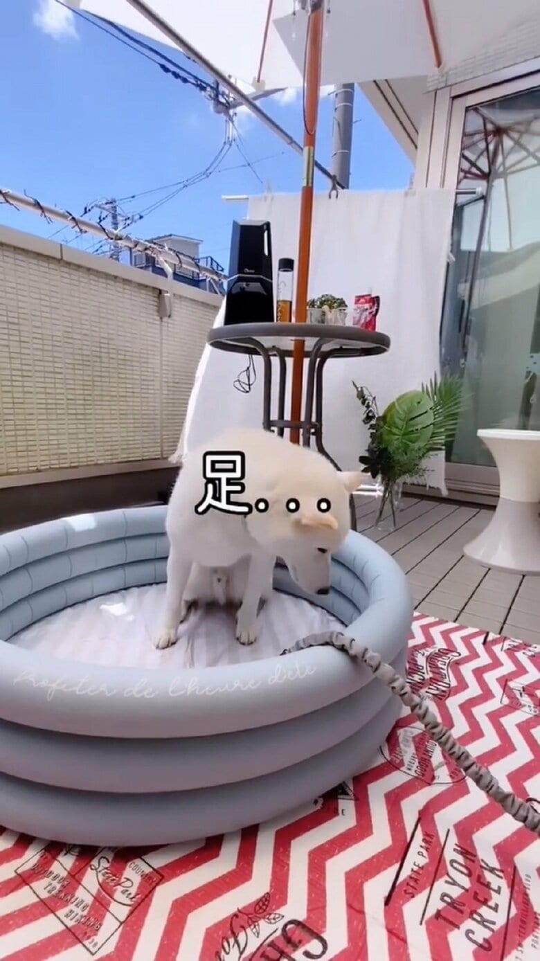 「足…」