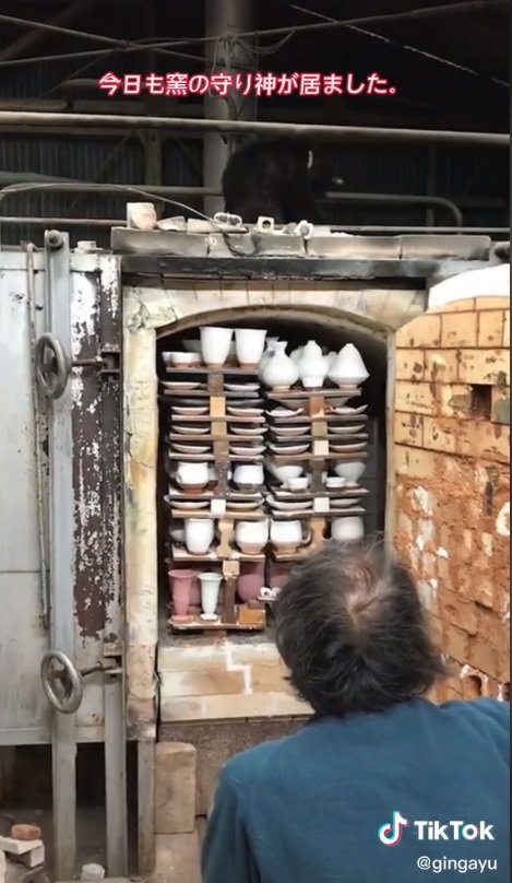 窯の上で見守るネルソンくん