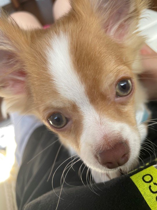 提供：ふくのすけさん